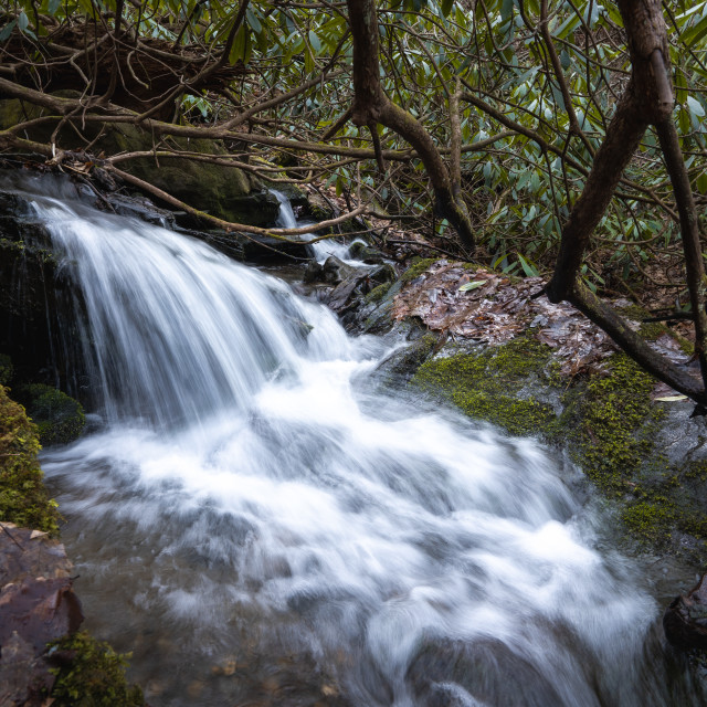 "fast flowing waterfall through an overgrown forest canyon" by Justin Mueller - £10.00 "fast flowing waterfall through an overgrown forest canyon" stock image