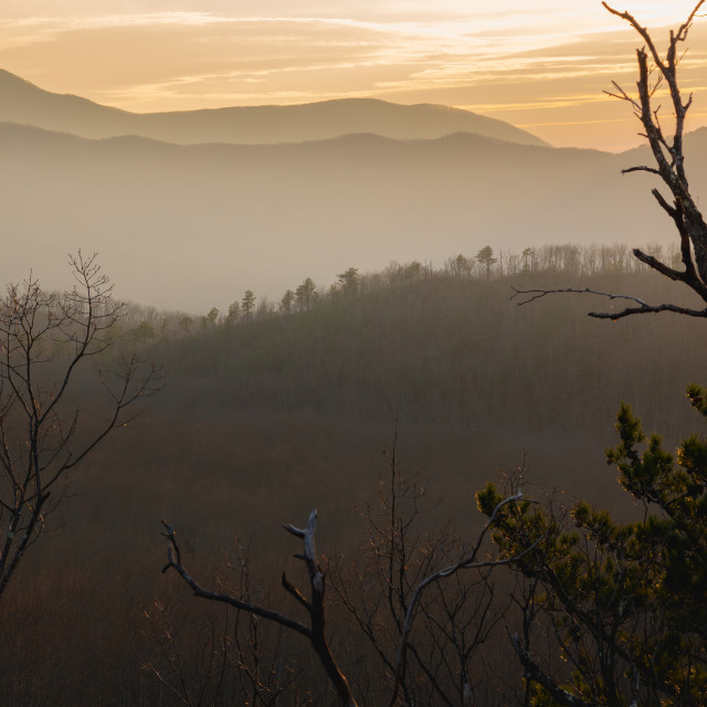 "foggy sunset over the great smoky mountains national park" by Justin Mueller - £10.00 "foggy sunset over the great smoky mountains national park" stock image