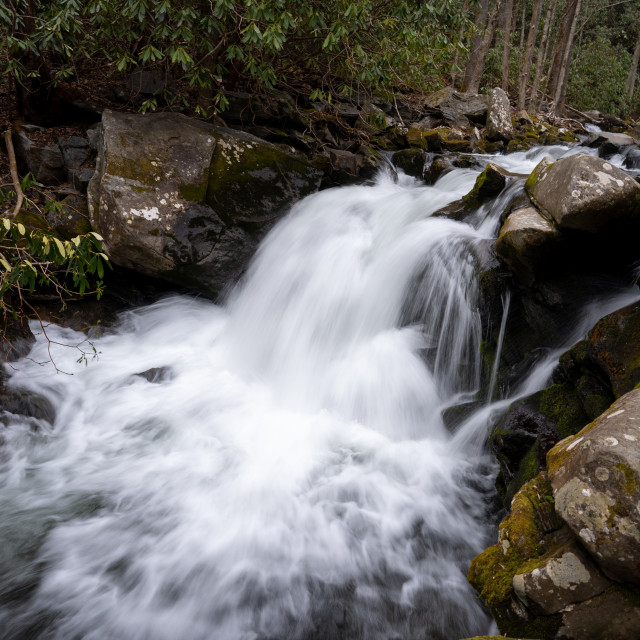 "small fast flowing waterfall on the lynn camp prong" by Justin Mueller - £10.00 "small fast flowing waterfall on the lynn camp prong" stock image