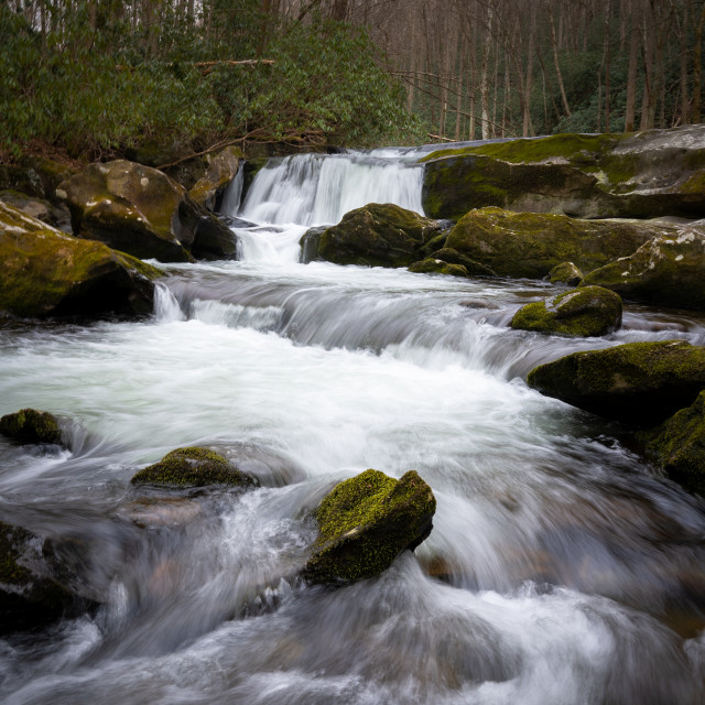 "lynn prong cascades with mossy rocks in the spring" by Justin Mueller - £10.00 "lynn prong cascades with mossy rocks in the spring" stock image