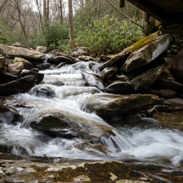 "waterfall under a wooden bridge in the forest" by Justin Mueller - £10.00 "waterfall under a wooden bridge in the forest" stock image