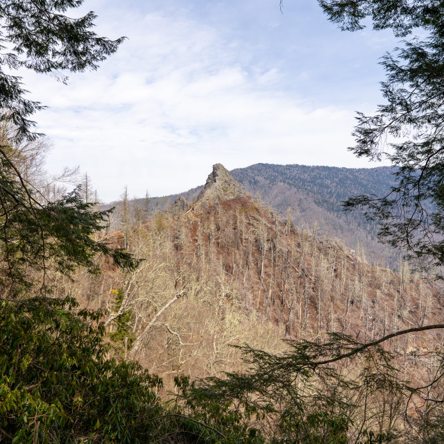 "portrait of chimney tops from the mountain top look out framed b" by Justin Mueller - £10.00 "portrait of chimney tops from the mountain top look out framed b" stock image