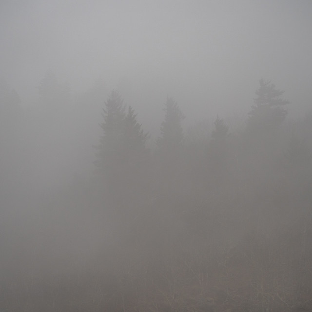 "thick cloud covered forest in the mountains of tennessee" by Justin Mueller - £10.00 "thick cloud covered forest in the mountains of tennessee" stock image