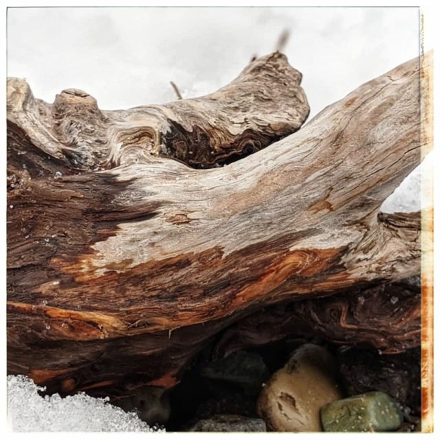 "Waterton driftwood" by MLLL Photography - $6.34 "Waterton driftwood" stock image