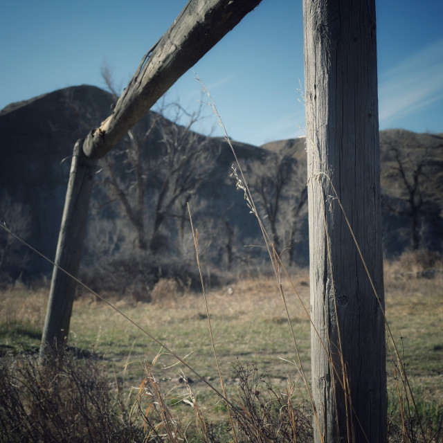 "On the range" by MLLL Photography - $15.21 "On the range" stock image