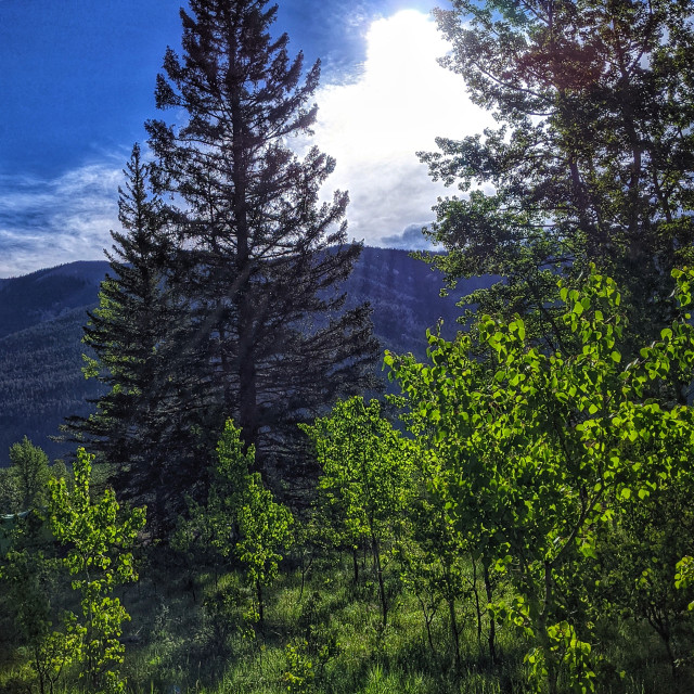 "Rocky Mountain sunrise" by MLLL Photography - $15.21 "Rocky Mountain sunrise" stock image