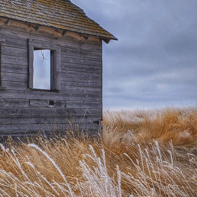 "Abandoned farm" by MLLL Photography - $15.21 "Abandoned farm" stock image