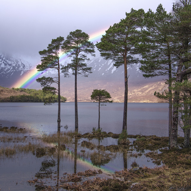 "Rainbow Over Loch Clair, Scottish Highlands" stock image