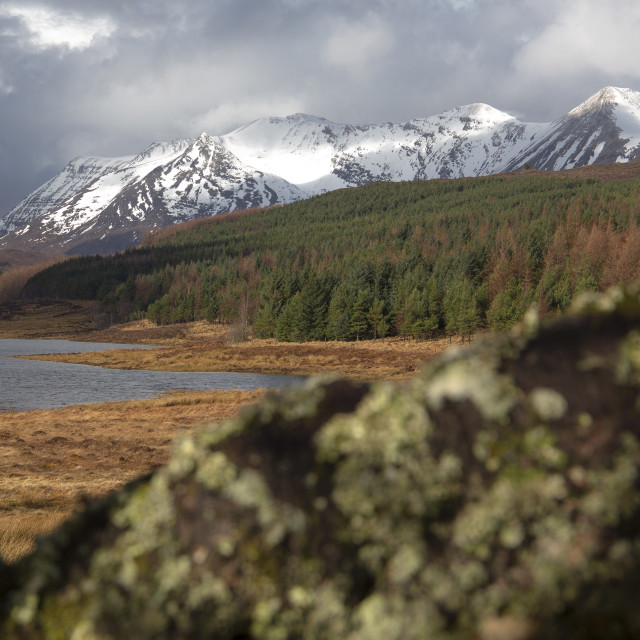 "Beinn Eighe & Loch Coulin - Seen Through a Branch !!" stock image