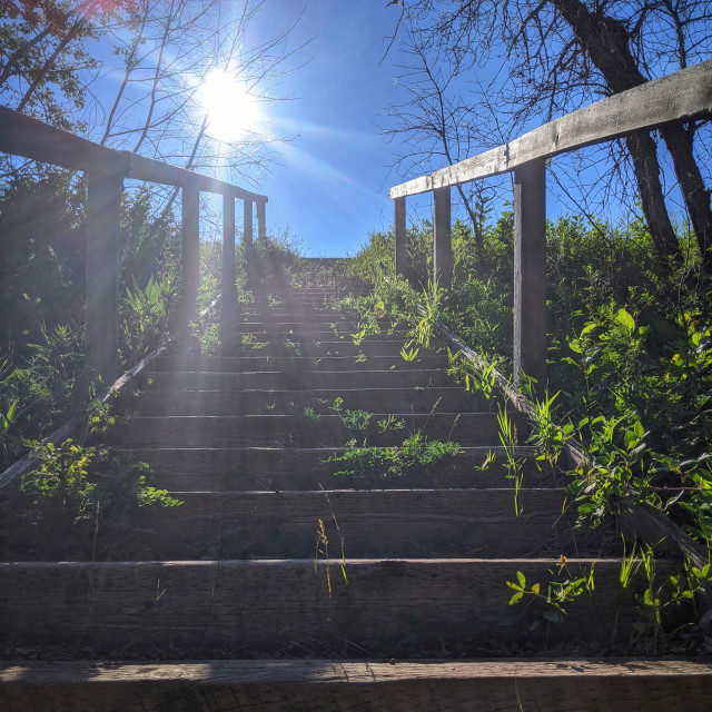 "Wetlands staircase" by MLLL Photography - $15.21 "Wetlands staircase" stock image