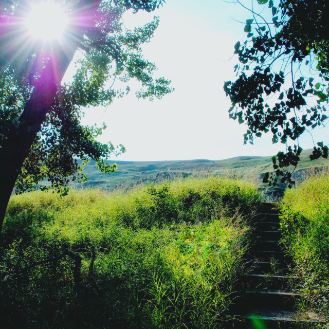 "Valley stairs" by MLLL Photography - $9.03 "Valley stairs" stock image
