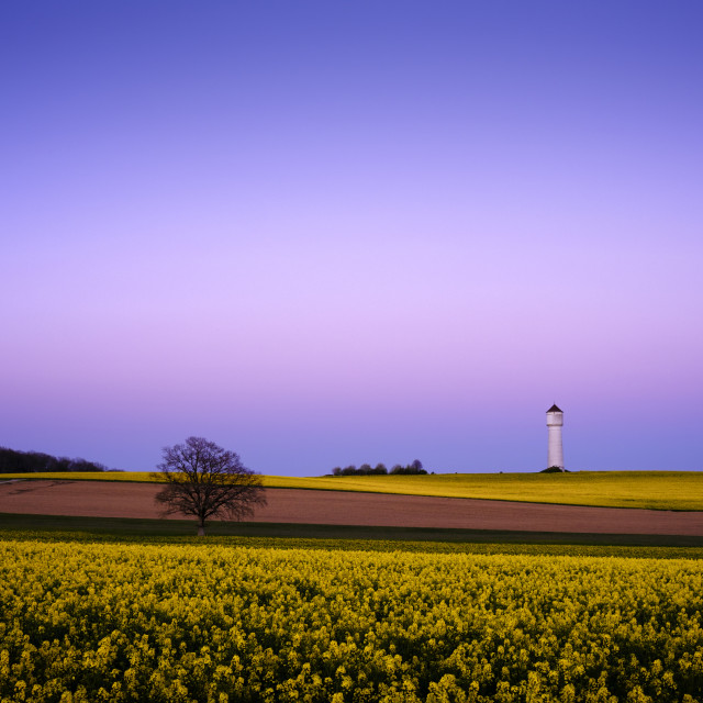 "The joy of spring" stock image