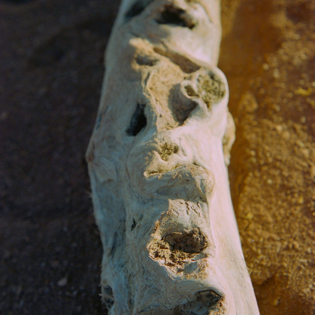 "Drift wood Contrast" by Zachary I Peabody - £10.00 "Drift wood Contrast" stock image