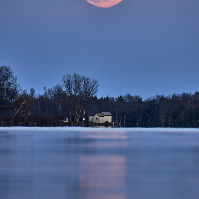 "Pink Super Full Moon" stock image