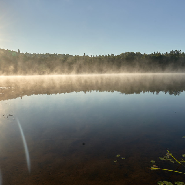 "Sun burst" stock image