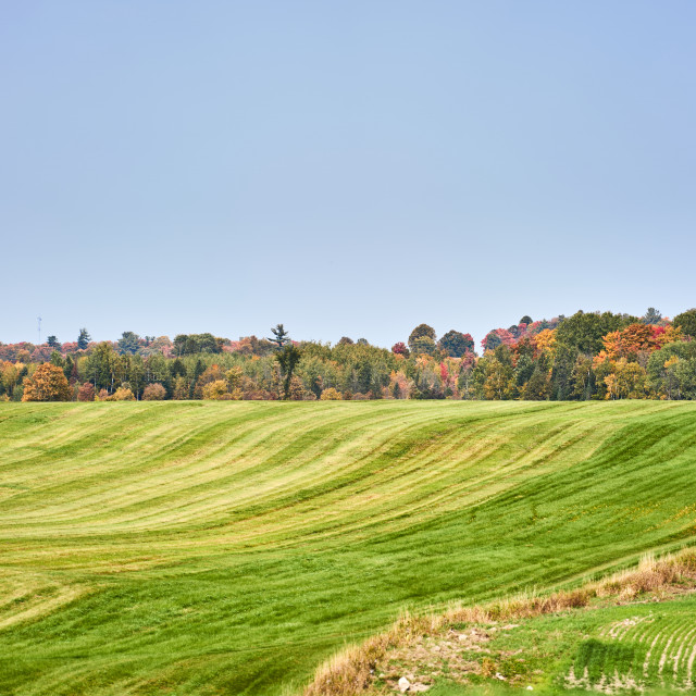 "Fall" stock image