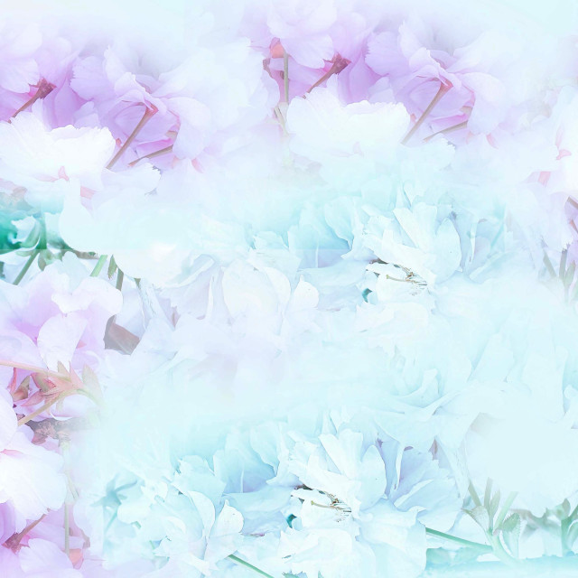"Pink and green Blossoms" by RukhsanaC - £50.00 "Pink and green Blossoms" stock image