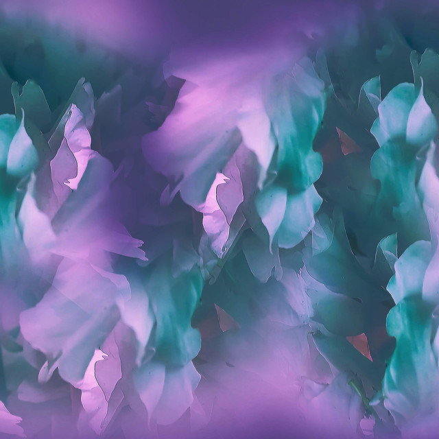 "Blossoms artistic effect" by RukhsanaC - £50.00 "Blossoms artistic effect" stock image