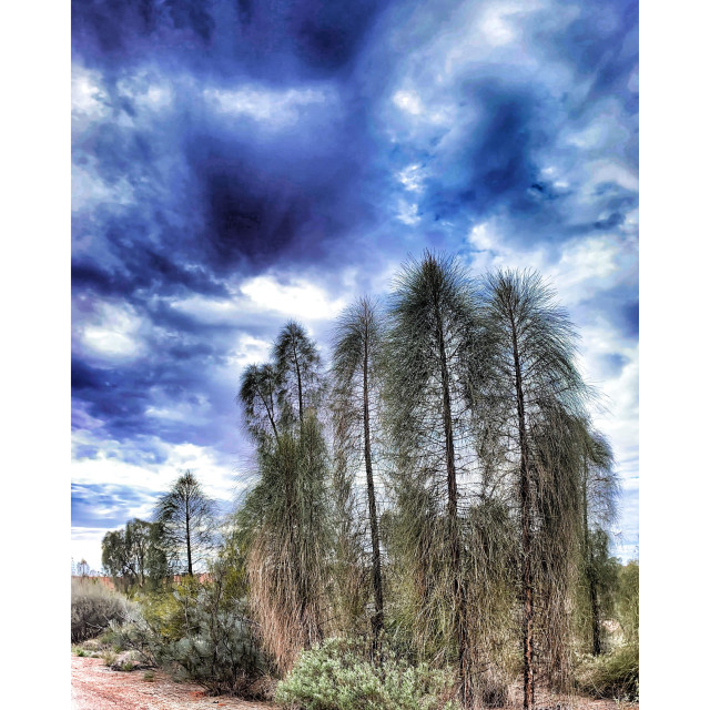 "ULURU 1" stock image