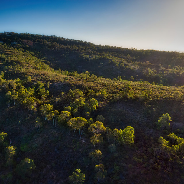 "Bushland Ridge, Perth Hills" stock image