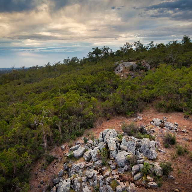 "Rocky Hillside and Forest" stock image