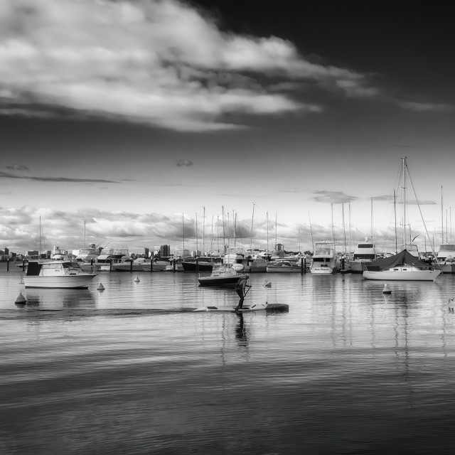 "Matilda Bay Scene" stock image