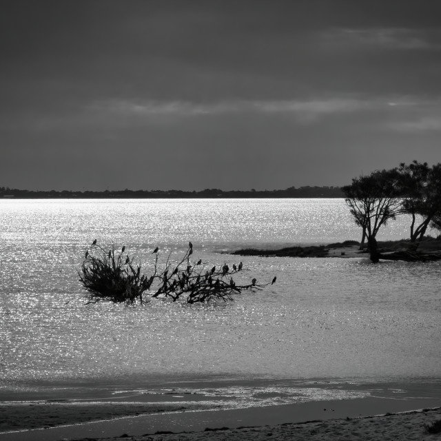 "Shining Water on Inlet" stock image