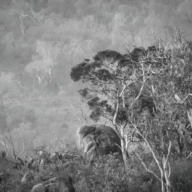 "Granite Boulder, Perth Hills" stock image