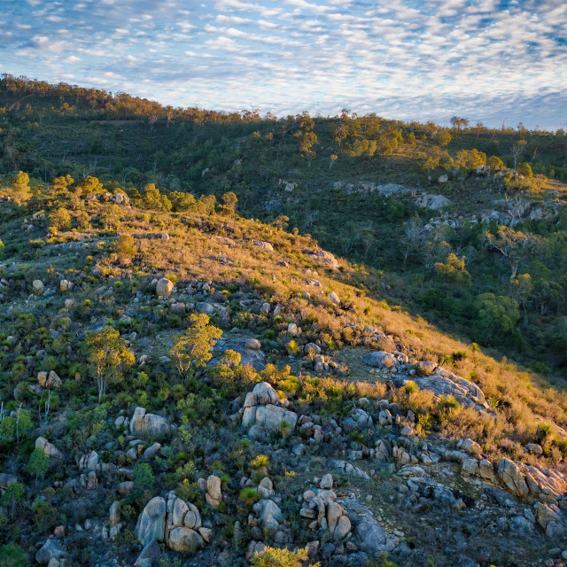 "Sunlit Bushland Ridge 2" stock image