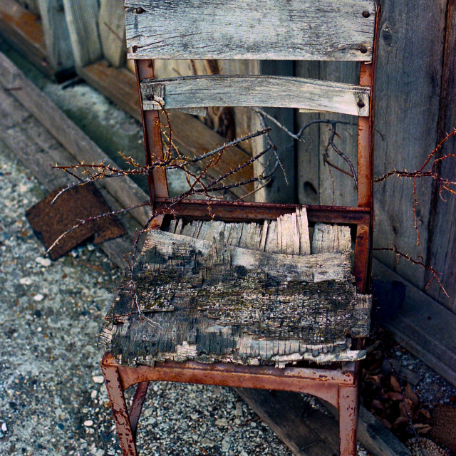 "Thorny Chair" by Zachary I Peabody - £10.00 "Thorny Chair" stock image