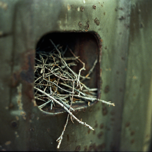 "Taillight Nest" by Zachary I Peabody - £10.00 "Taillight Nest" stock image