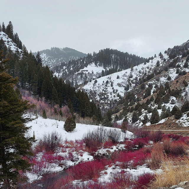 "Winter Mountains" stock image