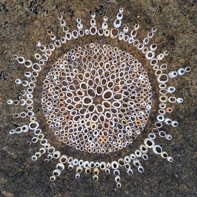 "Landart mandala made from shells" stock image