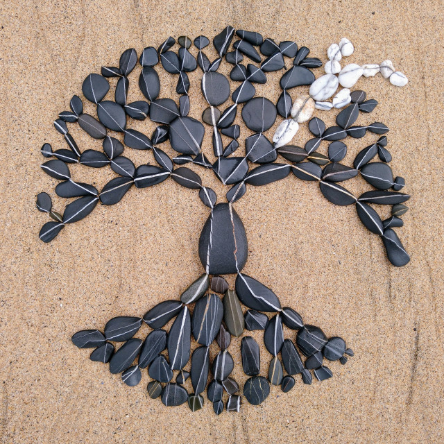 "Tree of life made from beach pebbles" stock image