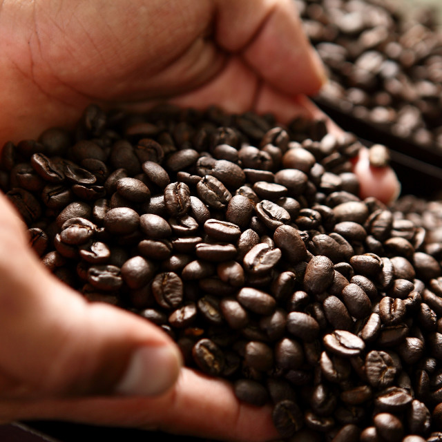 "Cafe de Boquete" stock image