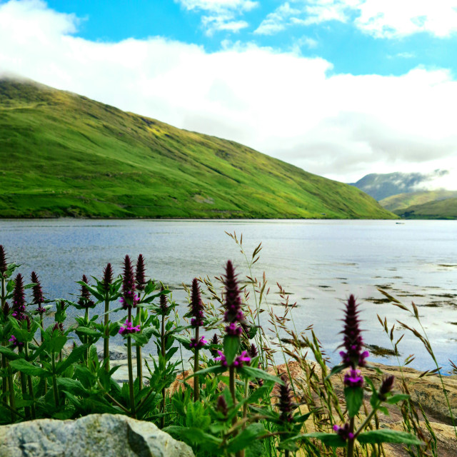 "Killary fjord views" stock image