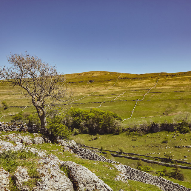 "Cray, Yorkshire Dales" stock image
