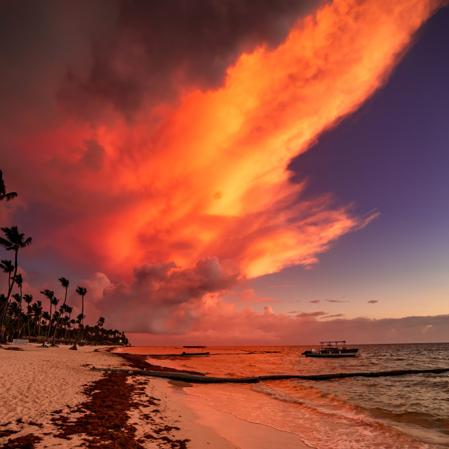 "Sunrise over the beach" by Pete Griffiths - £10.00 "Sunrise over the beach" stock image