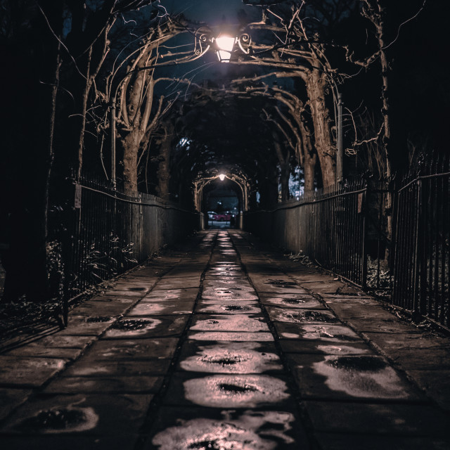 "Birdcage Walk" by Pete Griffiths - £10.00 "Birdcage Walk" stock image