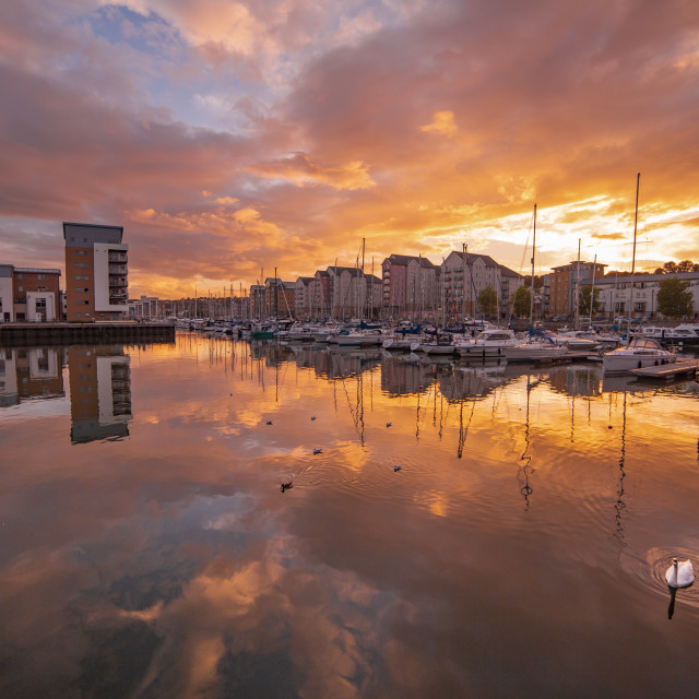 "Portishead Sunset" by Pete Griffiths - £10.00 "Portishead Sunset" stock image