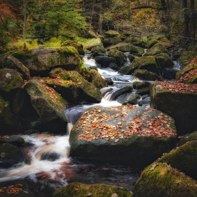 "Padley Gorge" stock image