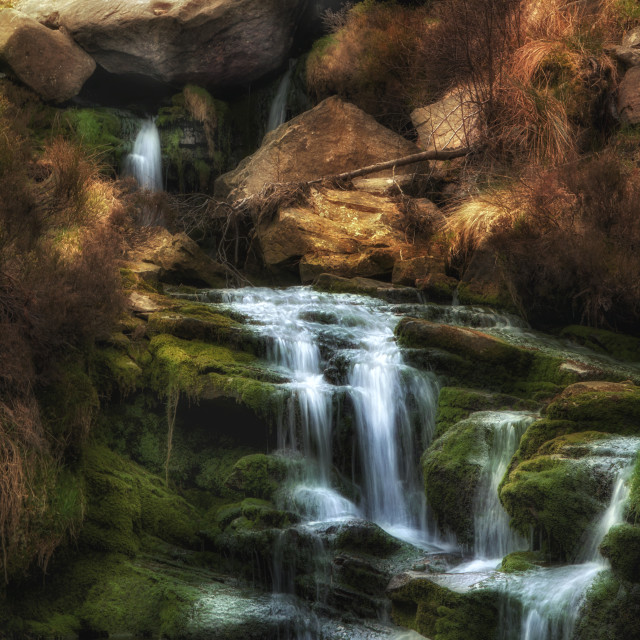 "Autumn falls" by Simon Martin - £15.00 "Autumn falls" stock image