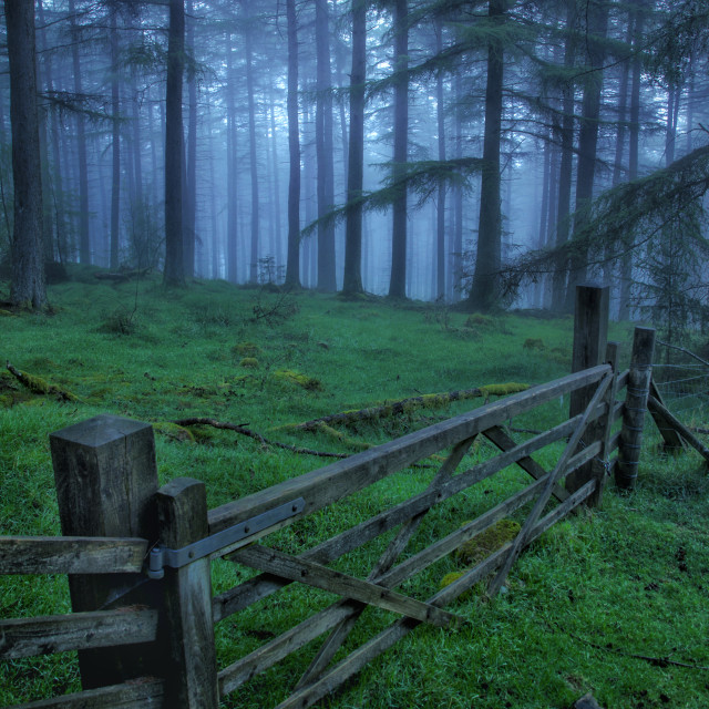 "Moody gate" stock image