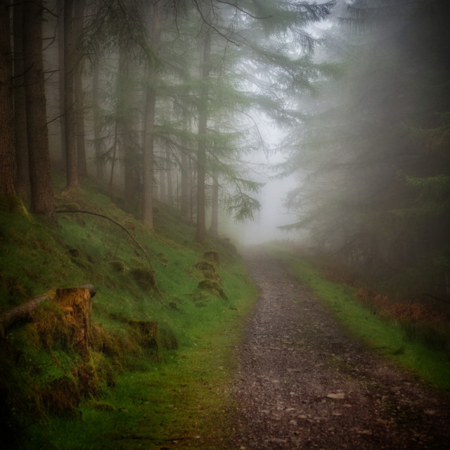 "Clouded vision" by Simon Martin - £15.00 "Clouded vision" stock image