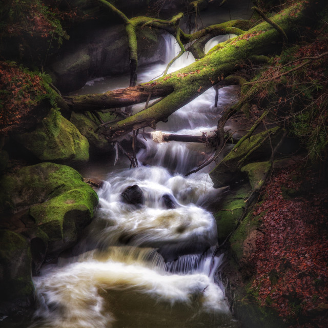 "Natural dam" by Simon Martin - £15.00 "Natural dam" stock image