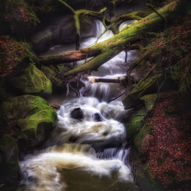 "Natural dam" stock image