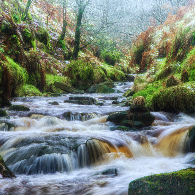 "Misty morning river" stock image