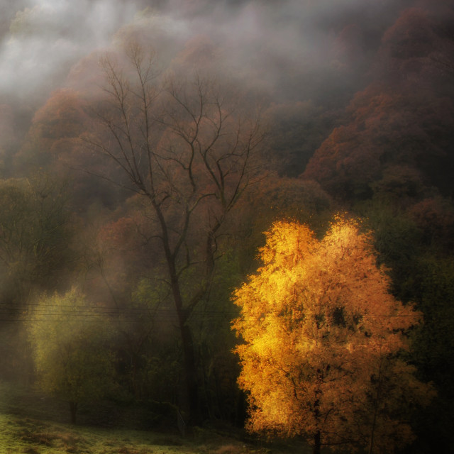 "Autumn colours with cloud" stock image