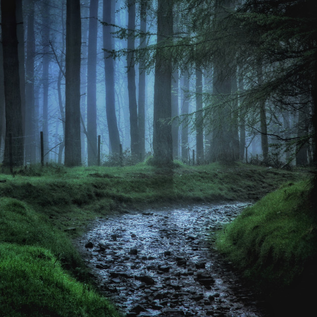 "Follow your own path" by Simon Martin - £15.00 "Follow your own path" stock image