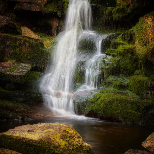"Rock pool" by Simon Martin - £15.00 "Rock pool" stock image